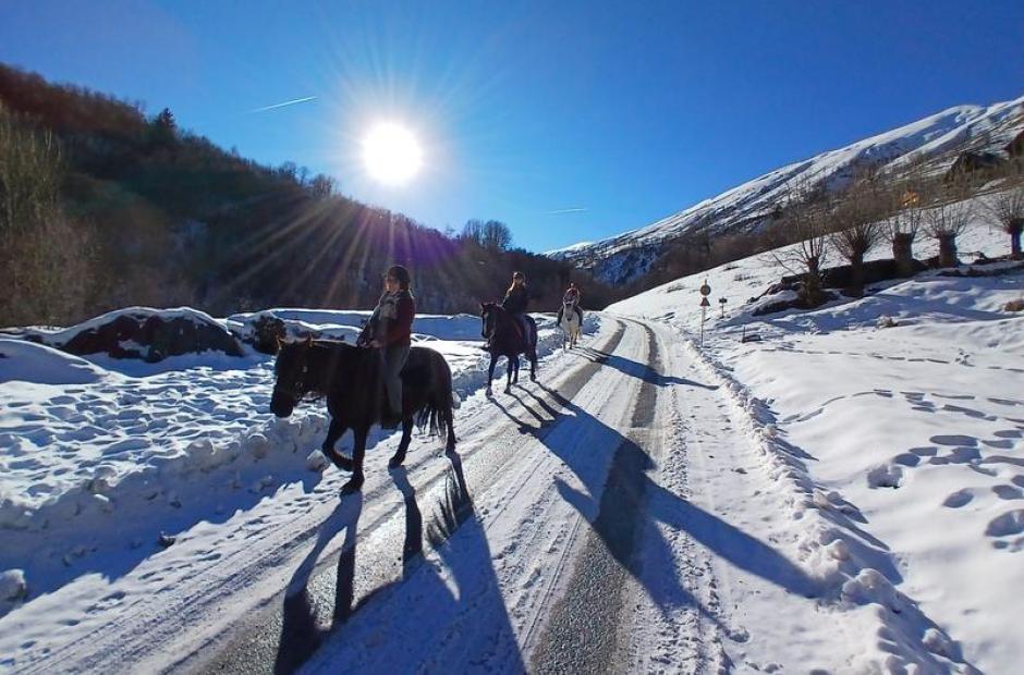 Randonnées à cheval et ski-joering -
