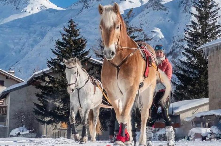 Randonnées à cheval et ski-joering -