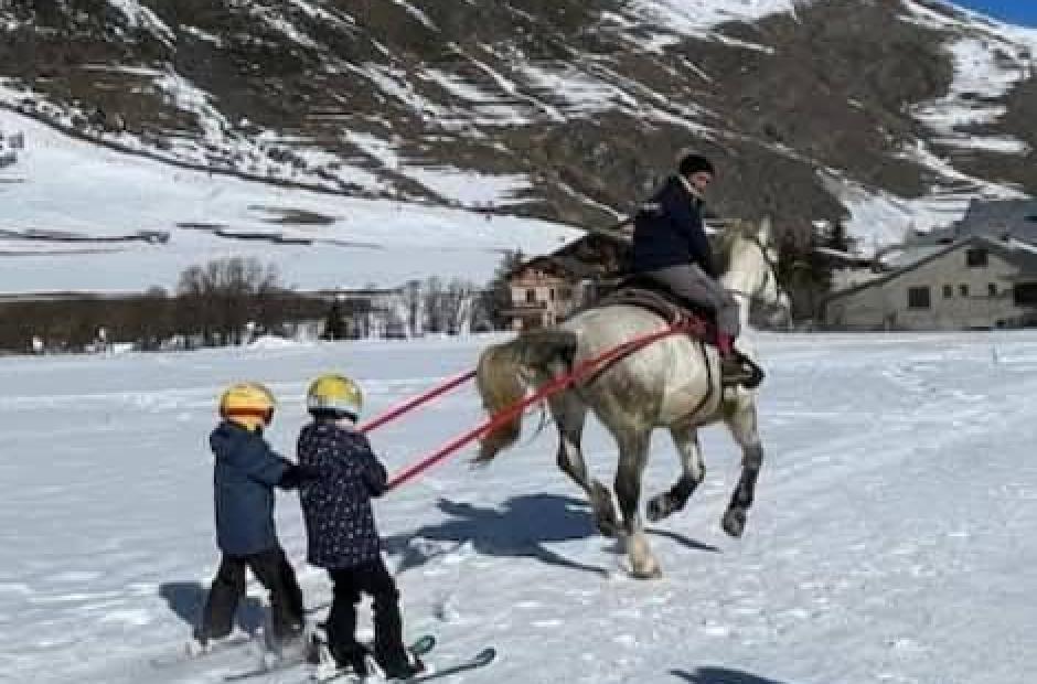 Randonnées à cheval et ski-joering -