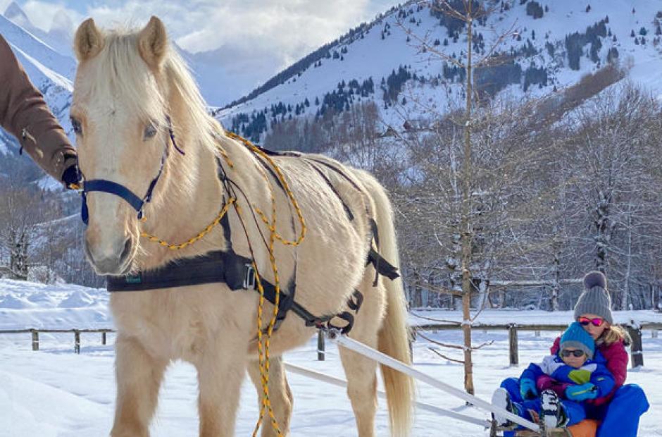 Image - Poney Luge