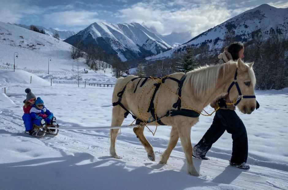 Image - Poney Luge