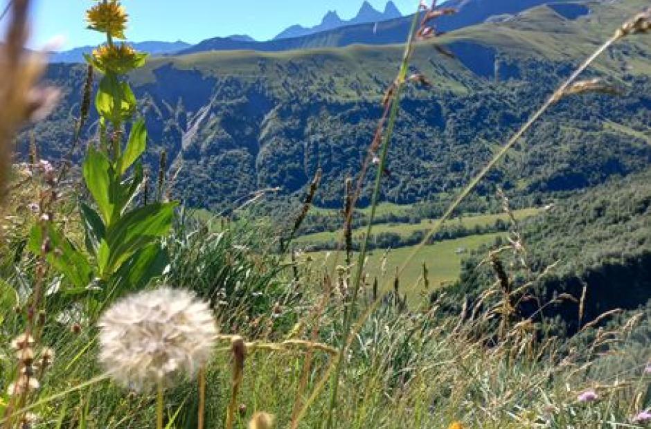 Naturopathe - photo paysage