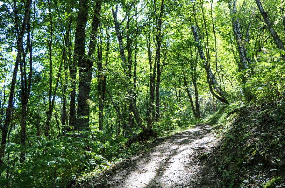 L'Arcossais - L'Arcossais