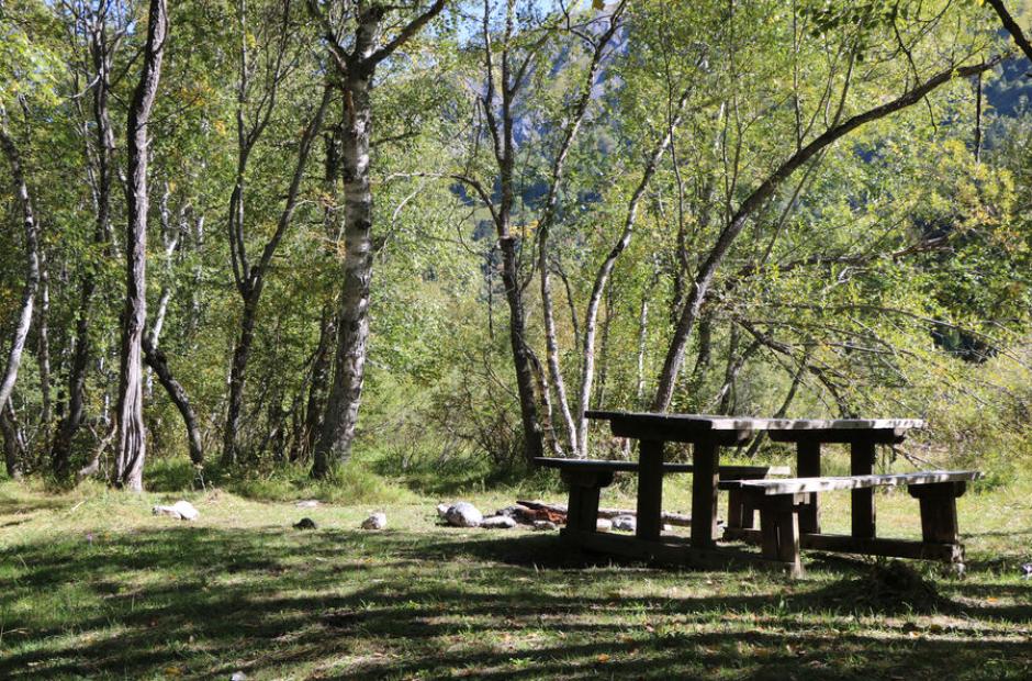 Aire de pique-nique Prés plan - Aire de pique-nique Prés plan