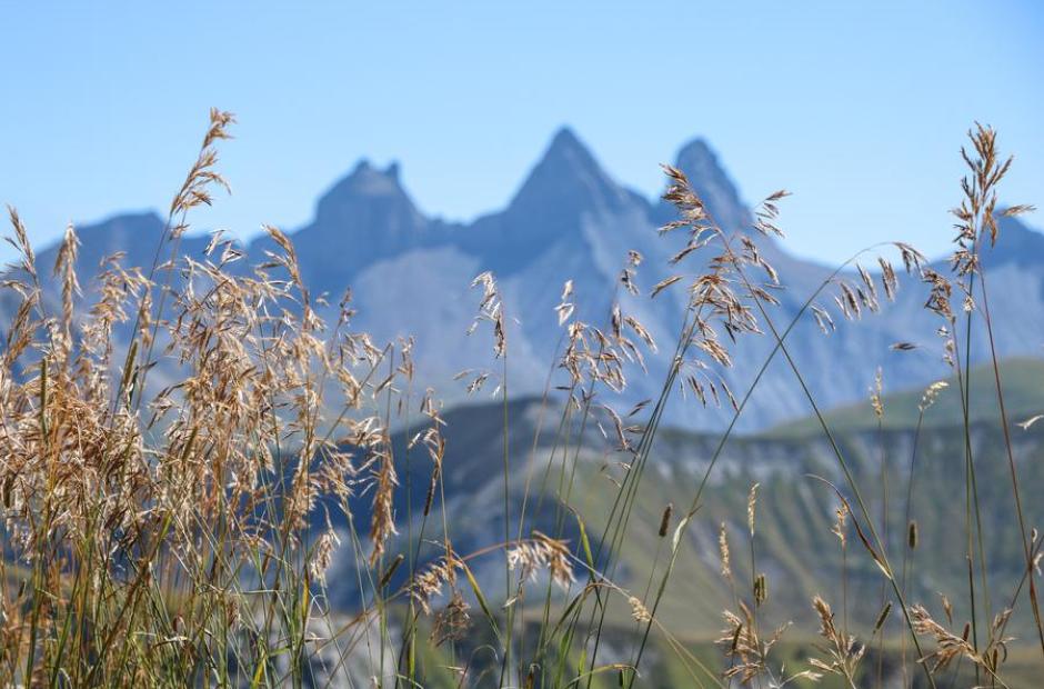 Aiguilles d'Arves en arrière plan - Aiguilles d'Arves en arrière plan