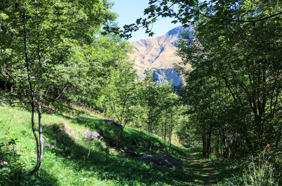 Les Vachers - Les Vachers