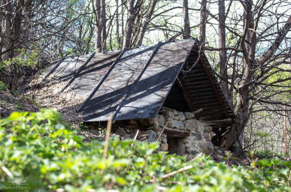 Les vachers - Les vachers