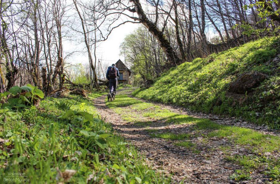 Les vachers - Les vachers