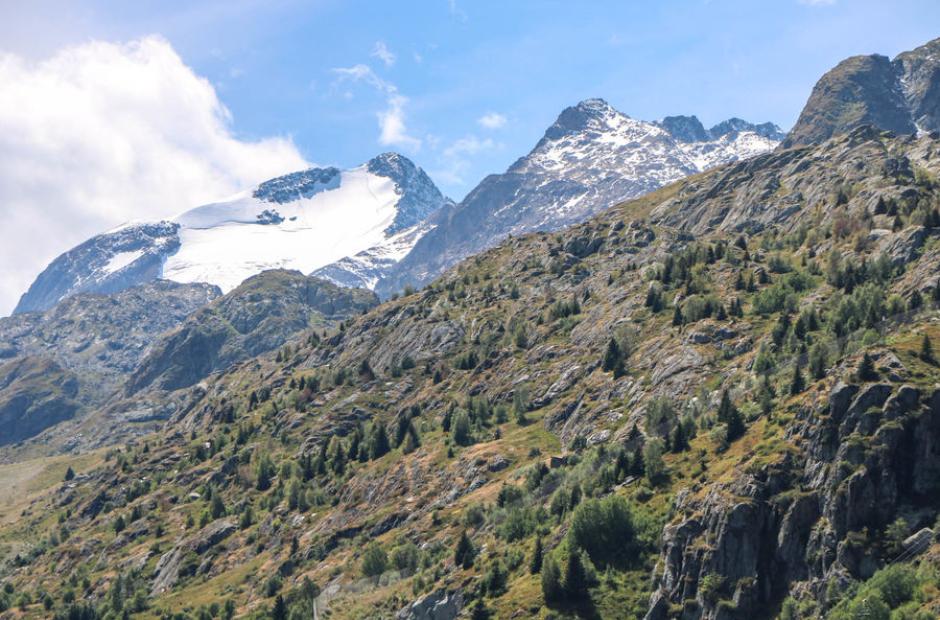 Rando l'Ouillon - Rando l'Ouillon