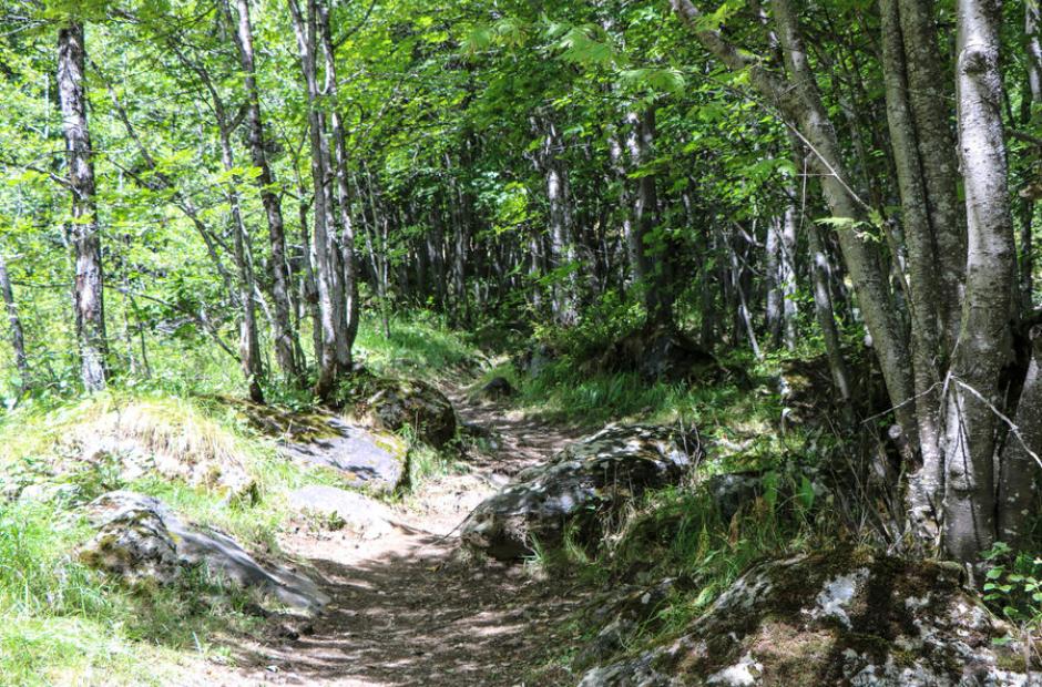 Ouillon VTT - Ouillon VTT