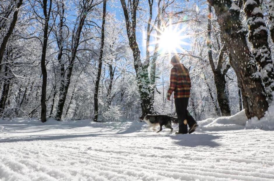 Venir avec son chien_Saint-Sorlin-d'Arves