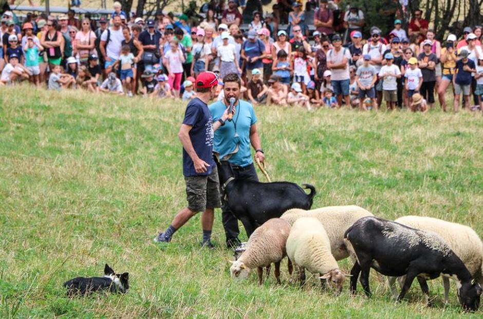 Rencontre avec le berger - Rencontre avec le berger