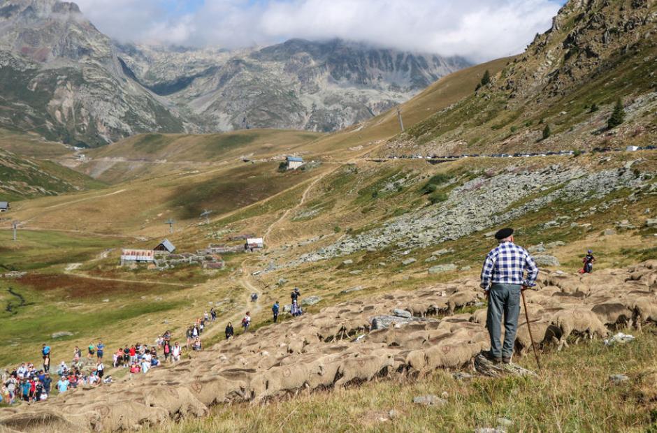 Fête du mouton 2022 - Fête du mouton 2022 Col de la Croix de Fer