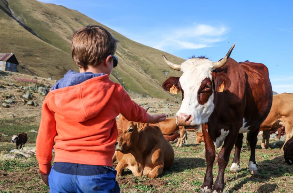 Enfant et vache - Enfant et vache