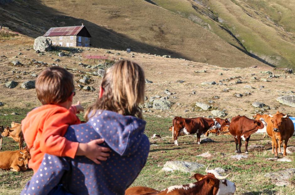 Famille face aux vaches - Famille face aux vaches