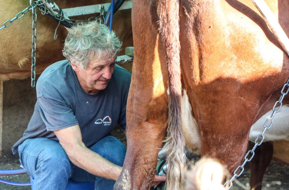 Agriculteur à la traite - Agriculteur à la traite