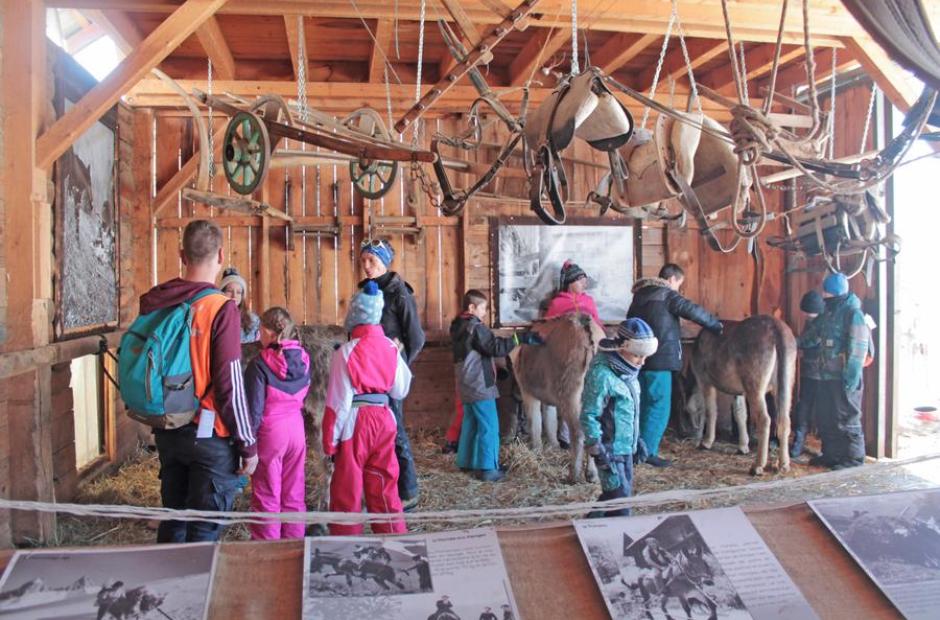 Visite groupe - Ferme des ânes - Visite groupe - Ferme des ânes Visite groupe - Ferme des ânes - Visite groupe - Ferme des ânes