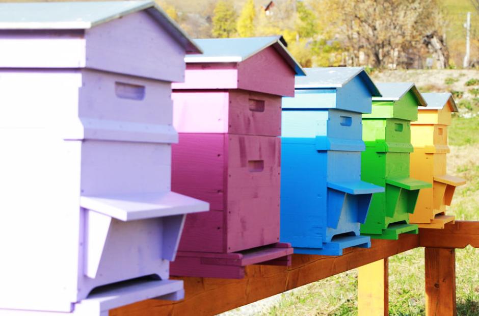 Miellerie des Arves - Miellerie des Arves