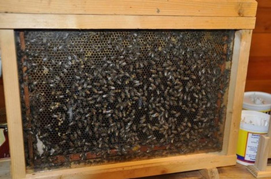 Miellerie des Arves - Miellerie des Arves