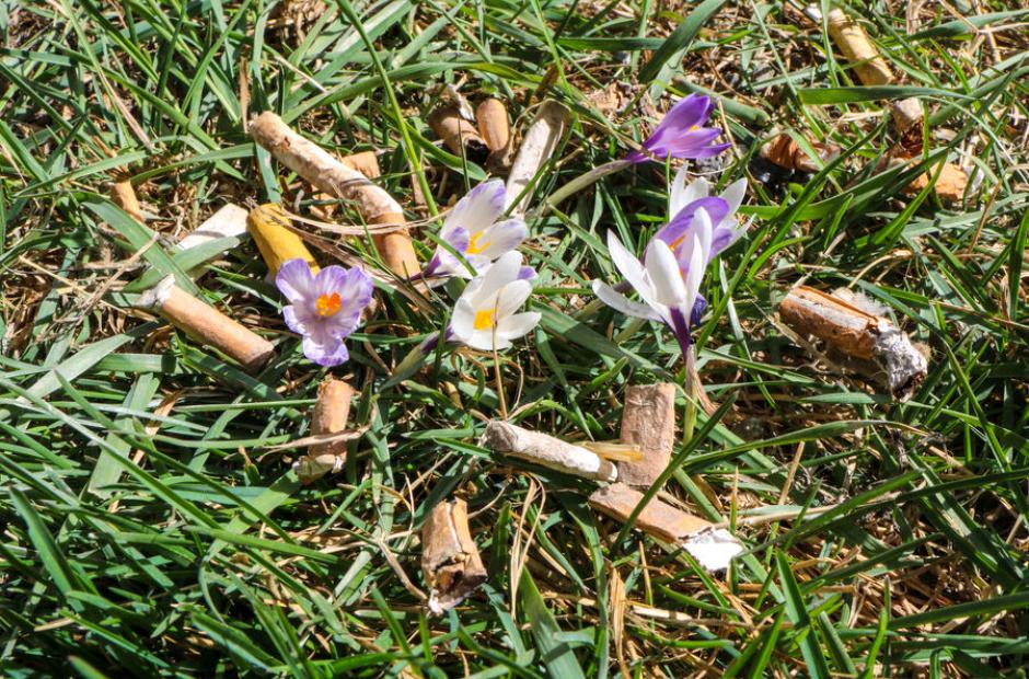 Ramassage des déchets - OT SSA