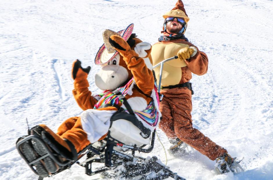 Fauteuil ski spécial Carnaval - Fauteuil ski spécial Carnaval