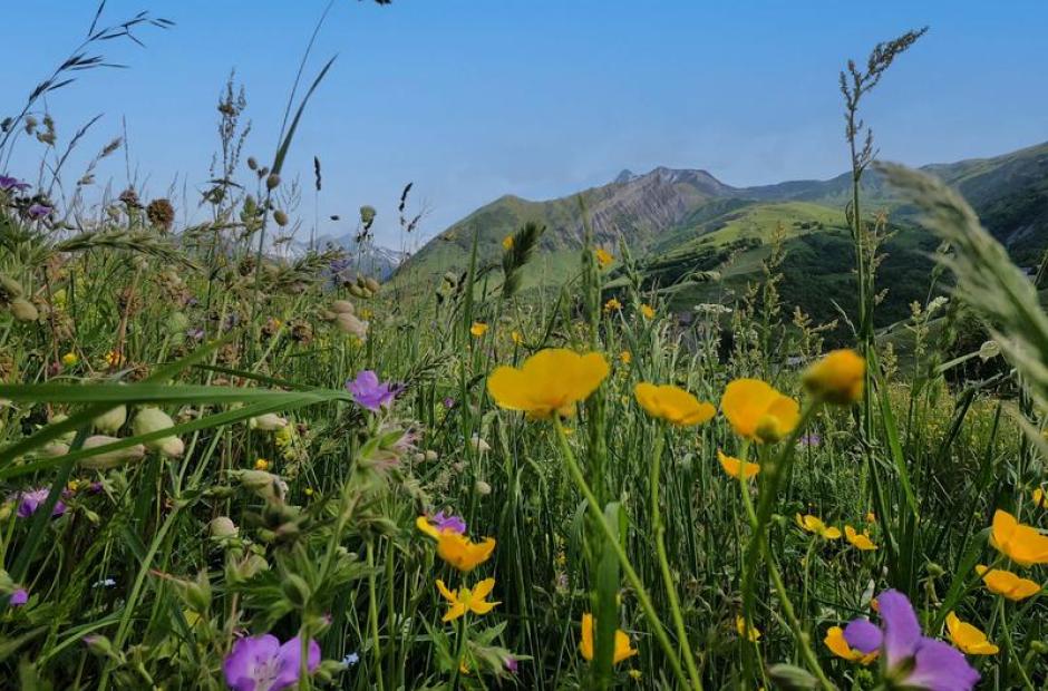 Semaine Nature &amp; Biodiversité - Semaine Nature &amp; Biodiversité