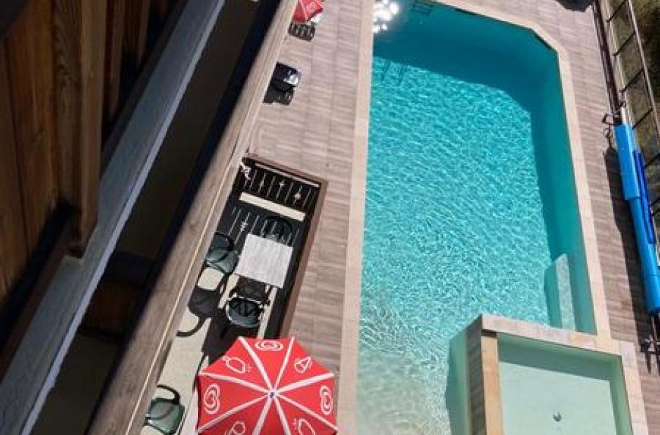 Le Chardon Bleu - Vue piscine été