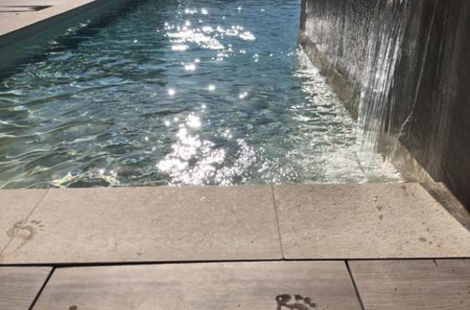Le Chardon Bleu - Vue piscine été