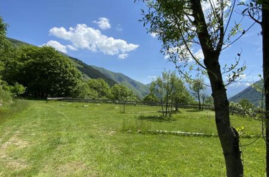 Camping Domaine du Trappeur - Emplacements