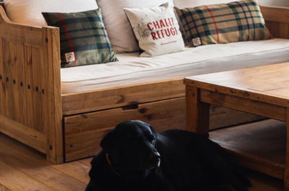 Intérieur hôtel Les Cèdres - Chien dans le salon Intérieur hôtel Les Cèdres - Chien dans le salon
