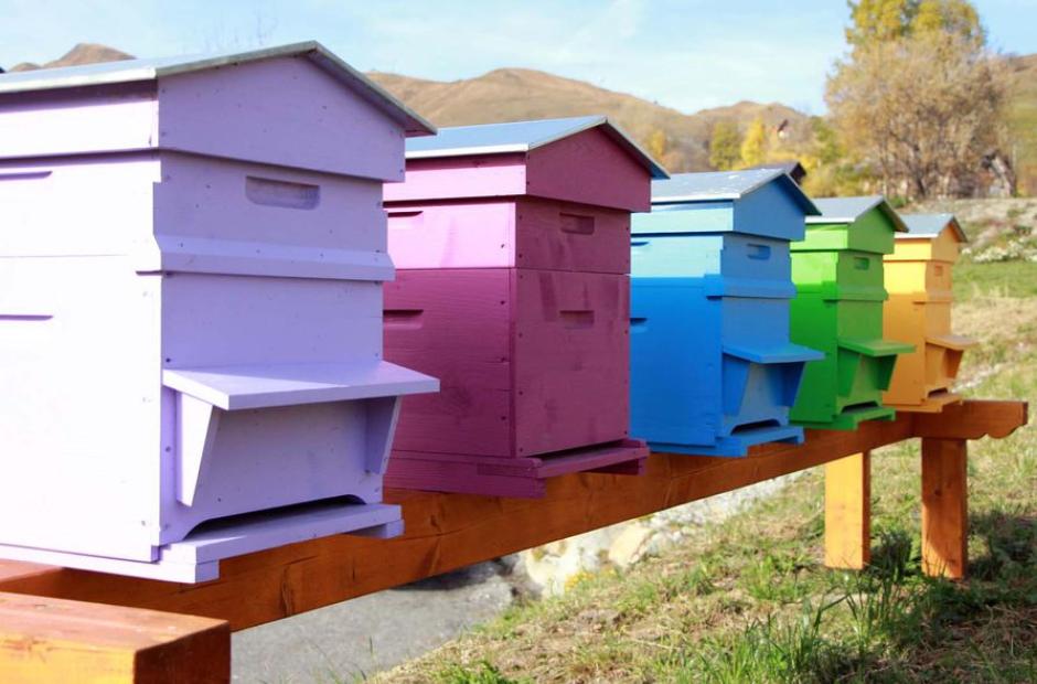 Miellerie des Arves - Ruches colorées Miellerie des Arves - Ruches colorées