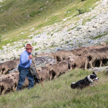 Fête du mouton