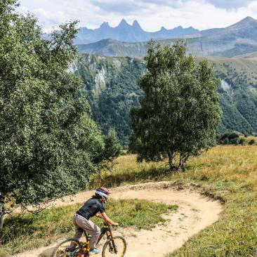 VTT de descente à Saint Sorlin d'Arves