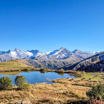 Paysages