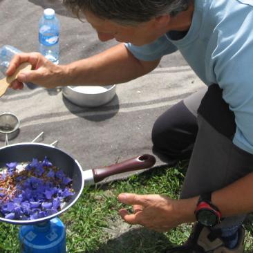 Usage culinaire des plantes de montagne