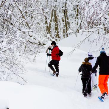 Promenade en raquettes à neige pour un « au revoir à la vallée » - Promenade en raquettes à neige pour un « au revoir à la vallée »