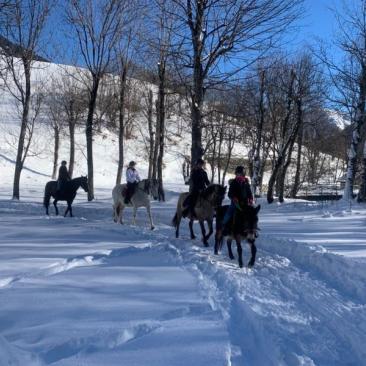 Randonnées et balades à cheval