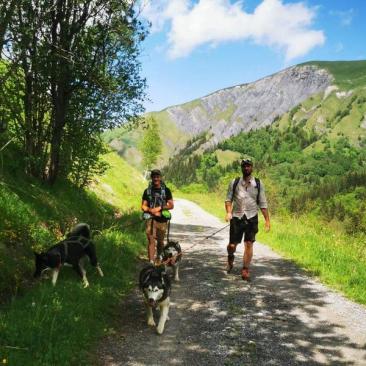 Cani-randonnée - 