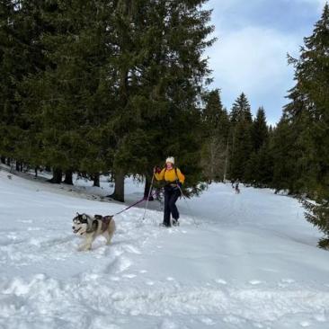 Cani-raquettes - Sortie hiver
