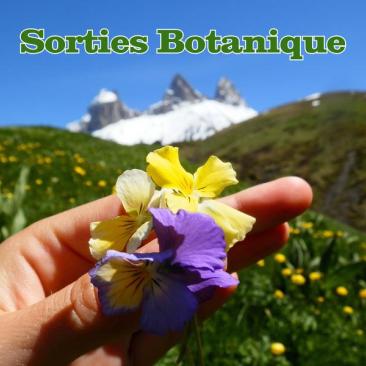 Sorties botaniques - 