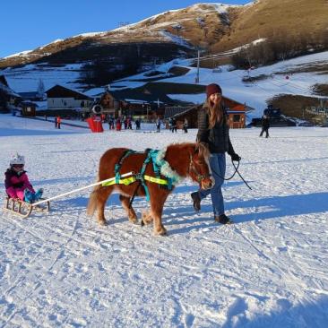 Balade à poney, Poney-luge et Ski-poney - Poney-luge