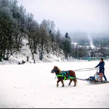 Balade à poney, Poney-luge & Ski-poney - 