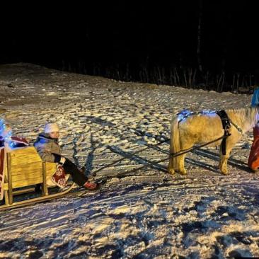 Balade à poney, Poney-luge &amp; Ski-poney -