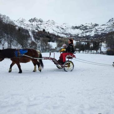 Balade à poney, Poney-luge &amp; Ski-poney -
