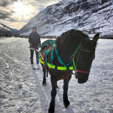 Randonnées à cheval et ski-joering - 