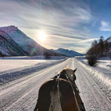 Randonnées à cheval et ski-joering -
