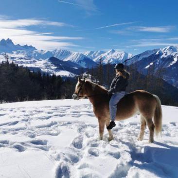 Randonnées à cheval et ski-joering -