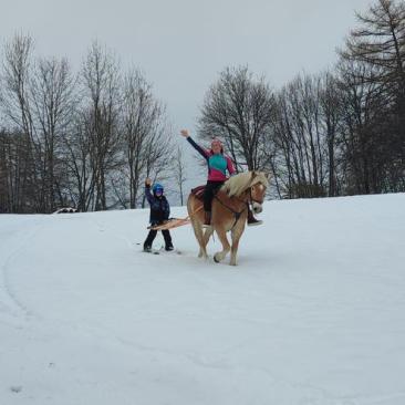 Randonnées à cheval et ski-joering -