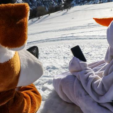 Wifi - Smartphone mascottes