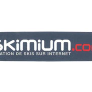 Logo skimium